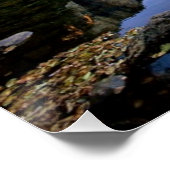 Nationaal park Yosemite Poster (Hoek)