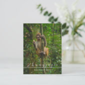 Nationaal park Zhangjajie briefkaart (Staand voorkant)