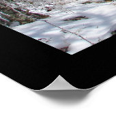 Nationaal park zHot Springs, Ice Snow Hut Poster (Hoek)