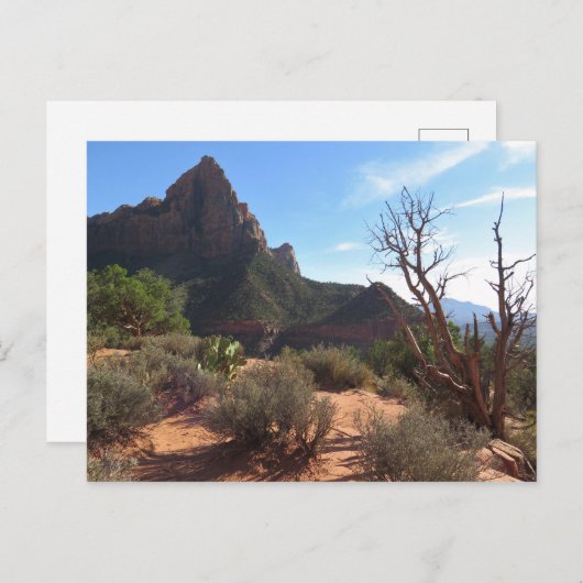 Nationaal Park Zion Briefkaart (Voorkant / Achterkant)