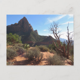 Nationaal Park Zion Briefkaart