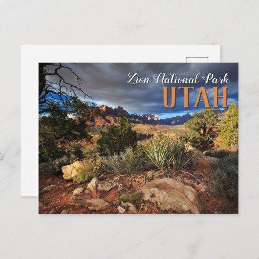 Nationaal Park Zion Briefkaart (Voorkant / Achterkant)