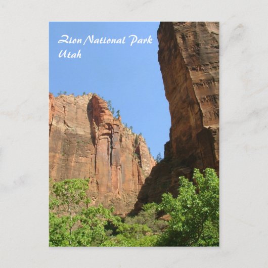 Nationaal Park Zion Briefkaart (Voorkant)