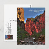 Nationaal Park Zion Briefkaart (Voorkant / Achterkant)
