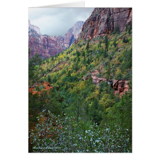 Nationaal Park Zion Canyon (Voorkant)
