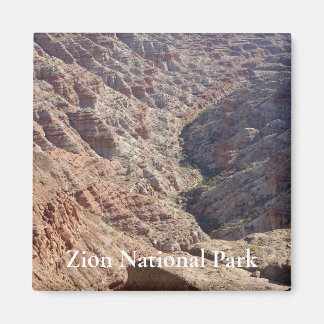 Nationaal Park Zion Magneet