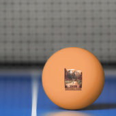 Nationaal Park Zion Pingpongbal (Net)