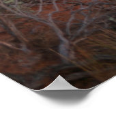 nationaal park zion poster (Hoek)