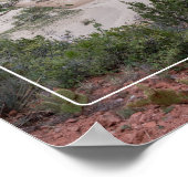 Nationaal Park Zion Poster (Hoek)