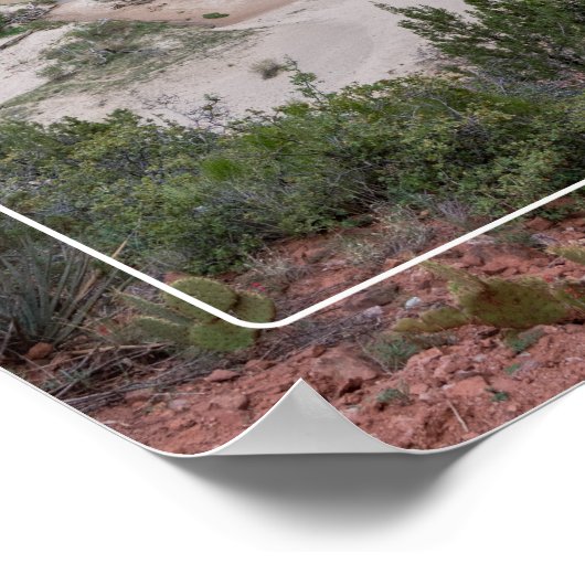 Nationaal Park Zion Poster (Hoek)