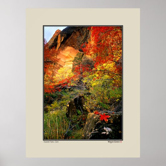 Nationaal Park Zion Poster (Voorkant)