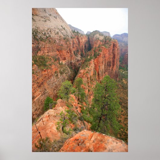 nationaal park zion poster (Voorkant)