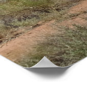 Nationaal Park Zion Poster (Hoek)