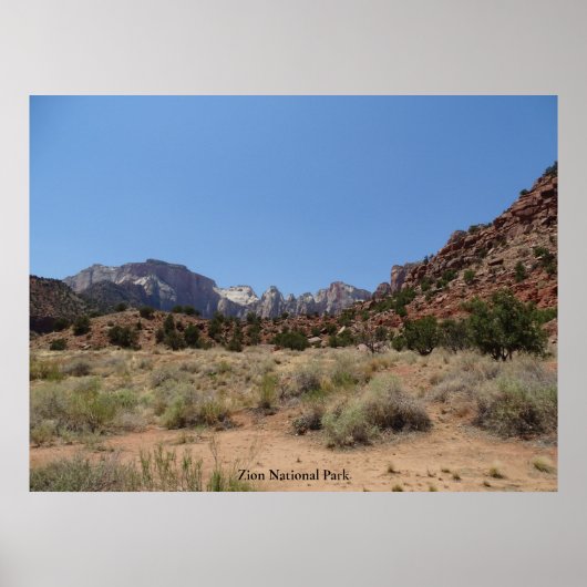 Nationaal Park Zion Poster (Voorkant)