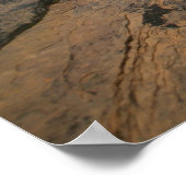 nationaal park zion poster (Hoek)