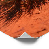 nationaal park zion poster (Hoek)