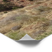 Nationaal Park Zion Poster (Hoek)