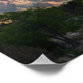 Nationaal Park Zion Poster (Hoek)