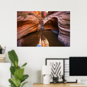 nationaal park zion poster (Thuiskantoor)