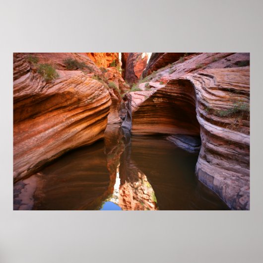 nationaal park zion poster (Voorkant)