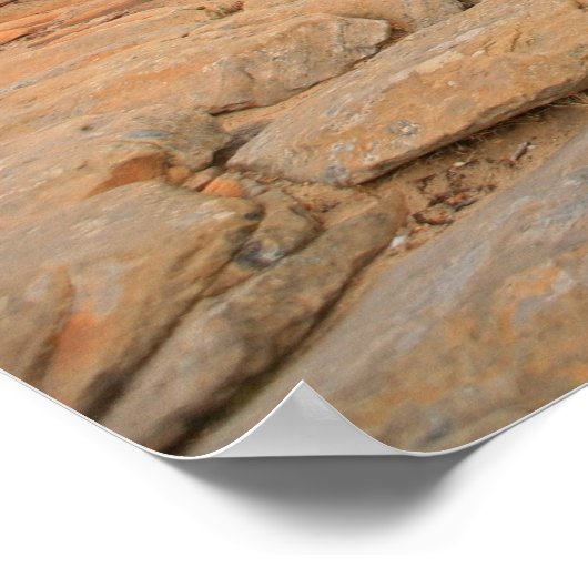 nationaal park zion poster (Hoek)