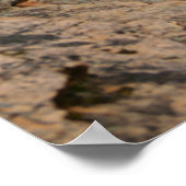 nationaal park zion poster (Hoek)