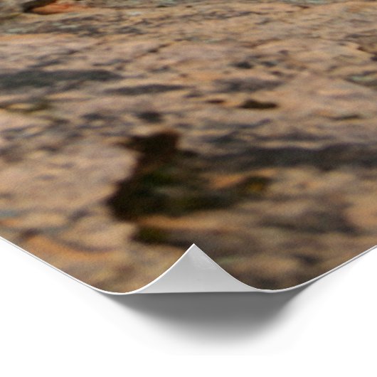 nationaal park zion poster (Hoek)