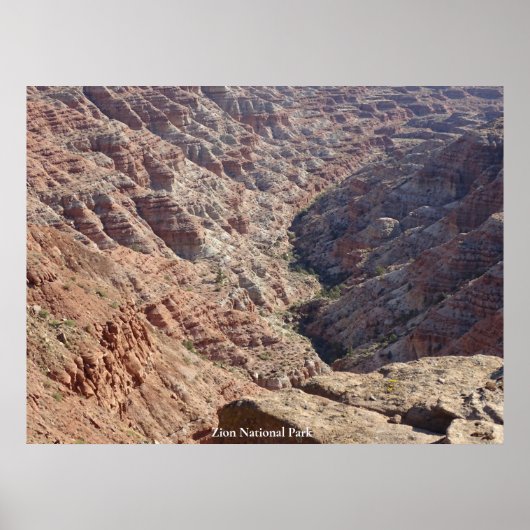 Nationaal Park Zion Poster (Voorkant)