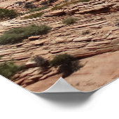 Nationaal Park Zion Poster (Hoek)