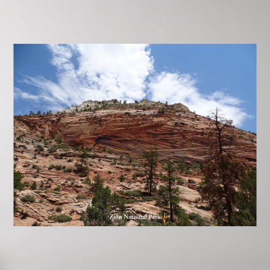 Nationaal Park Zion Poster (Voorkant)