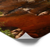 nationaal park zion poster (Hoek)