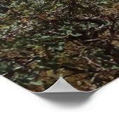 Nationaal Park Zion Poster (Hoek)