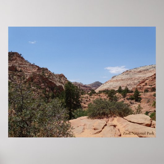 Nationaal Park Zion Poster (Voorkant)