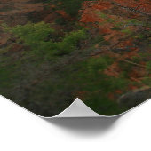 nationaal park zion poster (Hoek)