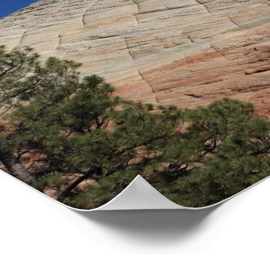 Nationaal Park Zion Poster (Hoek)