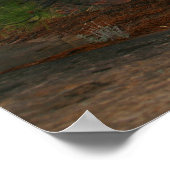 nationaal park zion poster (Hoek)