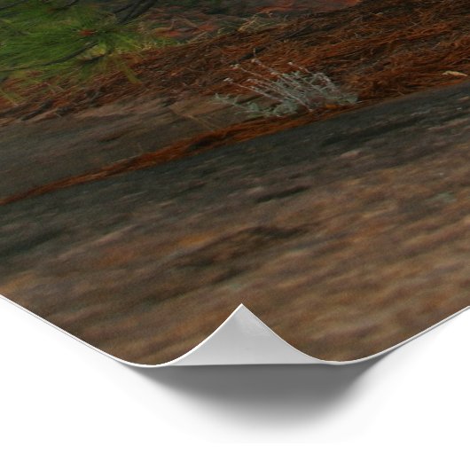 nationaal park zion poster (Hoek)