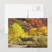 Nationaal Park Zion, Utah Autumn Colors Scenery Briefkaart (Voorkant / Achterkant)