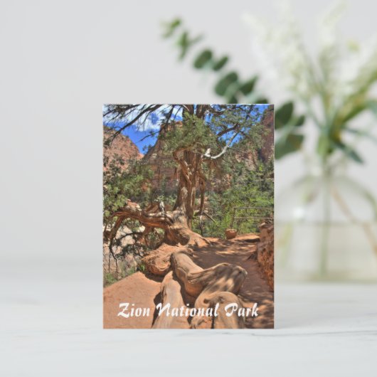Nationaal Park Zion, Utah Briefkaart (Staand voorkant)
