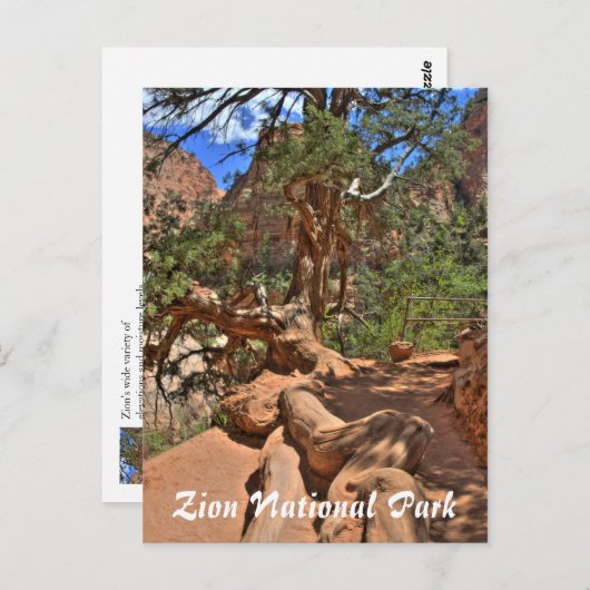Nationaal Park Zion, Utah Briefkaart (Voorkant / Achterkant)
