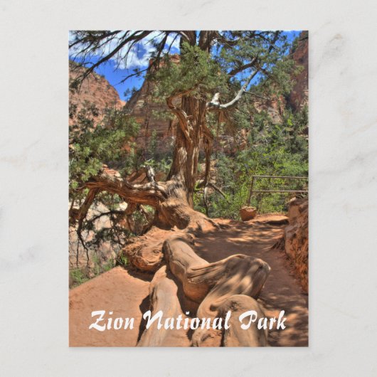 Nationaal Park Zion, Utah Briefkaart (Voorkant)