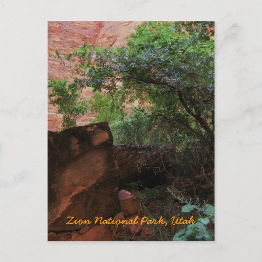 Nationaal Park Zion, Utah Briefkaart (Voorkant)
