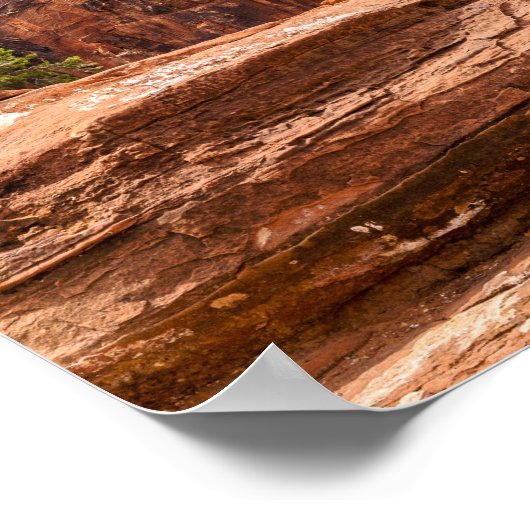 Nationaal park Zion - Utah Poster (Hoek)