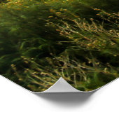 Nationaal park Zion - Utah Poster (Hoek)