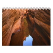 Nationaal parkrooster 2009 voor de dierentuin kalender (Hoes)