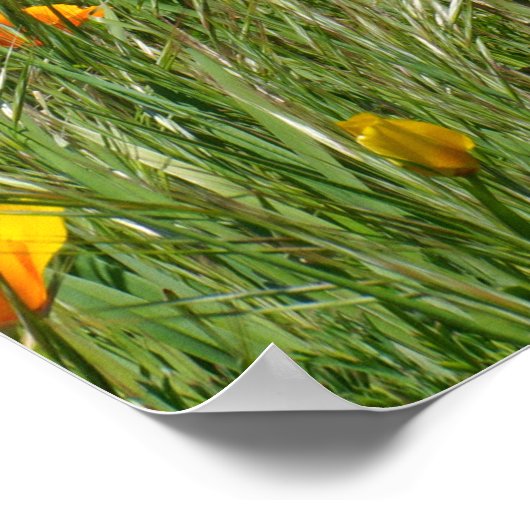 Nationaal poster voor de viering van de week van v (Hoek)