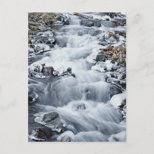 Nationaal Schilderachtig gebied Columbia River Gor Briefkaart (Voorkant)