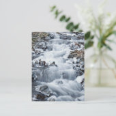 Nationaal Schilderachtig gebied Columbia River Gor Briefkaart (Staand voorkant)