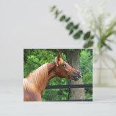 Nationaal Show Briefkaart (Staand voorkant)