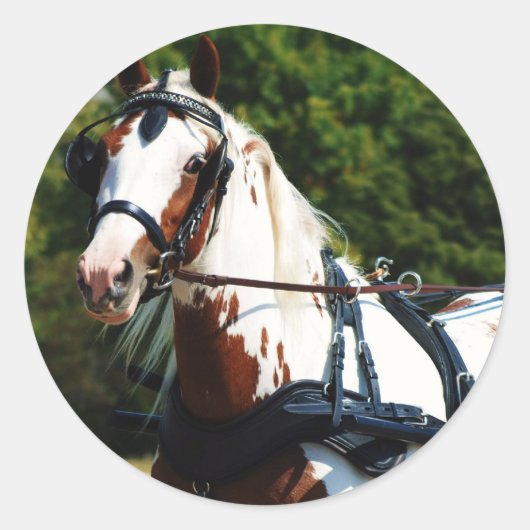 nationaal station ronde sticker (Voorkant)